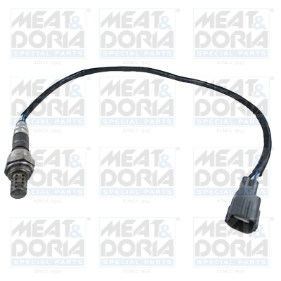 Oxygen Sensor